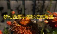 梦幻西游手游妙法试炼第五章攻略